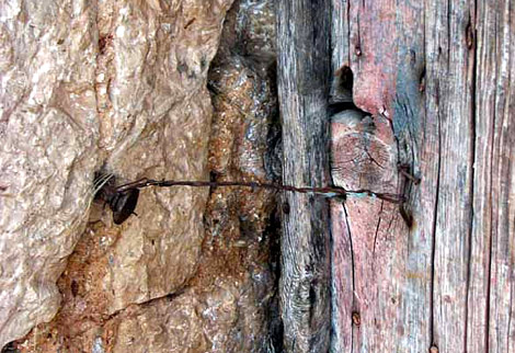 kuco_moja_zavljana_zicom