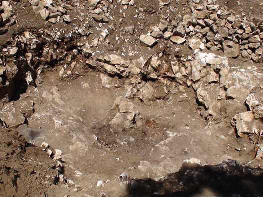 oni_vise_nisu_ovdje_9