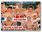 15memorijallpavlovic