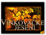 vinkovacke