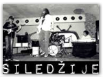 siledzijee