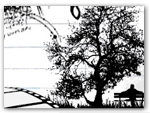 whf_8