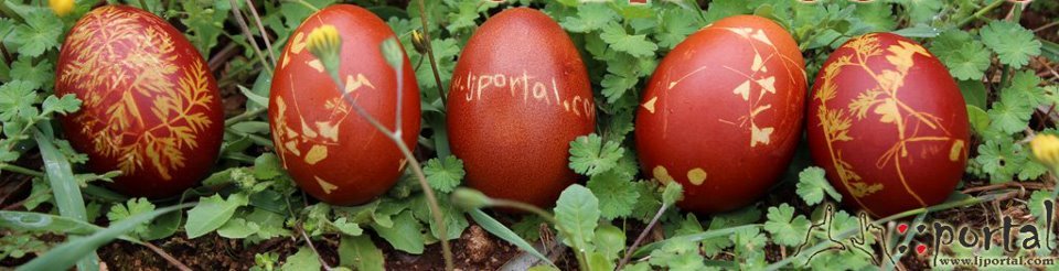 538804 2875879258045 79937451 n