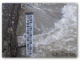 poplave