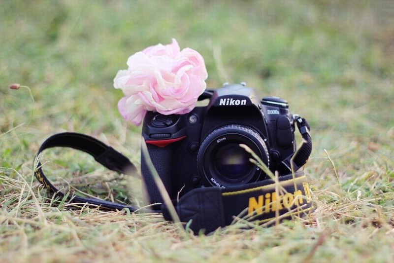 1395794 433339643436515 662667873 n copy